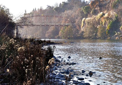 american river fishing report|Lower American River .